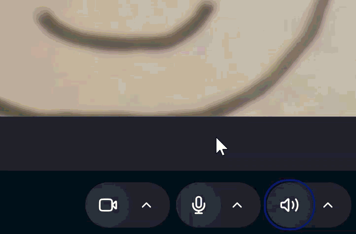 NS1.gif